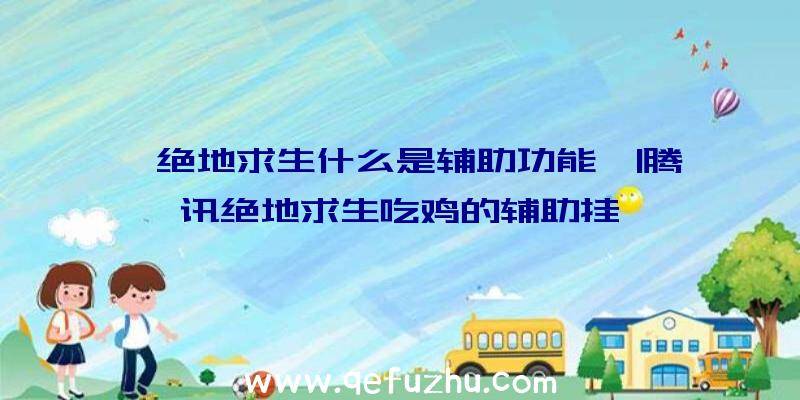 「绝地求生什么是辅助功能」|腾讯绝地求生吃鸡的辅助挂